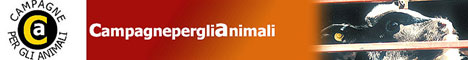 Immagine - Rif.:  www.campagneperglianimali.org  -  CAMPAGNE PER GLI ANIMALI