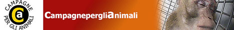 Immagine - Rif.:  www.campagneperglianimali.org  -  CAMPAGNE PER GLI ANIMALI