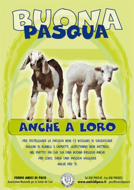 Immagine - Rif. Fondo Amici di Paco - CAMPAGNA PASQUA