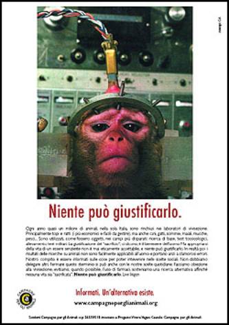 Immagine - Rif.:  www.campagneperglianimali.org  -  CAMPAGNE PER GLI ANIMALI  == >  �Niente pu� giustificarlo.�