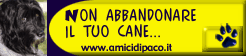 Immagine - Rif.: "Non abbandonare il tuo cane" - www.amicidipaco.it