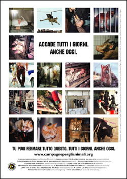 Immagine - Rif.:  www.campagneperglianimali.org  -  CAMPAGNE PER GLI ANIMALI