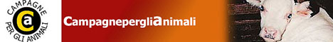 Immagine - Rif.:  www.campagneperglianimali.org  -  CAMPAGNE PER GLI ANIMALI