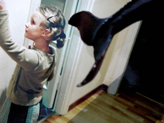 Immagine - Rif.: "ARTEINATTESA", Mostra di opere di giovani artisti al Policlinico di Modena, 2008-2010  == >  (4 - Chiara Tagliazucchi - Ho sentito un rumore 02, 2006, stampa fotografica