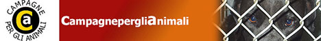 Immagine - Rif.:  www.campagneperglianimali.org  -  CAMPAGNE PER GLI ANIMALI