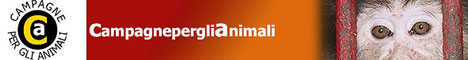 Immagine - Rif.:  www.campagneperglianimali.org  -  CAMPAGNE PER GLI ANIMALI