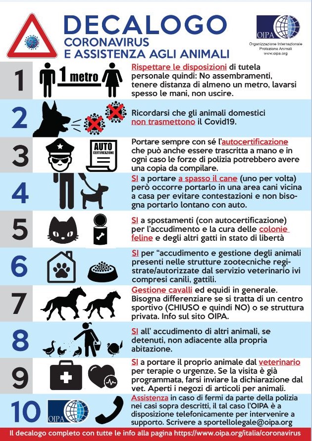 Immagine - Rif.: DECALOGO CORONAVIRUS E ASSISTENZA AGLI ANIMALI || OIPA Italia Onlus - Organizzazione Internazionale Protezione Animali || Il decalogo completo con tutte le info alla pagina https://www.oipa.org/italia/coronavirus
::
OIPA Italia Onlus
Organizzazione Internazionale Protezione Animali
ONG affiliata al Dipartimento della Pubblica Informazione dell'ONU
Associazione riconosciuta dal Ministero dellfAmbiente
Tel. 02 6427882 Fax 1782206601
info@oipa.org - www.oipa.org