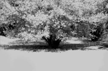 Immagine - Rif. Erminia De Luca. Cantici - Mostra promossa dallAssessorato alle Politiche Culturali e Spettacolo - Centro Nazionale di Fotografia - Padova, Galleria Sottopasso della Stua / 25 ottobre 2007 - 8 Dicembre 2007