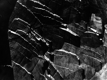 Immagine - Rif. Architettura della materia - Ferruccio Ferroni 1953