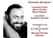 Immagine - Rif.: (particolare) "Big, Big, Luciano!", Concerto in onore del grande tenore italiano / Teatro Cagnoni - Vigevano / Sabato 27 settembre 2008