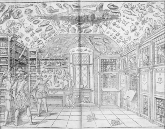 Immagine - Rif.: mostra internazionale "Libri antichi e di pregio a Milano" / Imperato Ferrante - “Dell’historia naturale di Ferrante Imperato napoletano. Libri XXVIII. Nella quale ordinatamente si tratta della diversa condition di miniere, e pietre. Con alcune historie di piante, & animali, fin’hora non date in luce. Con privilegio”
