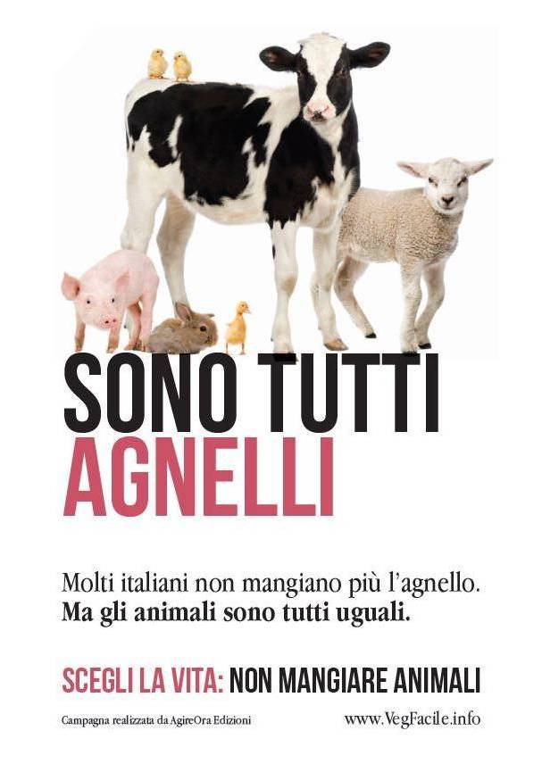 Immagine || Pubblicità Campagne > «SONO TUTTI AGNELLI» - «Molti italiani non mangiano più l'agnello. Ma gli animali sono tutti uguali.» - «SCEGLI LA VITA: NON MANGIARE ANIMALI» // Campagna realizzata da AgireOra Edizioni - www.VegFacile.info
::